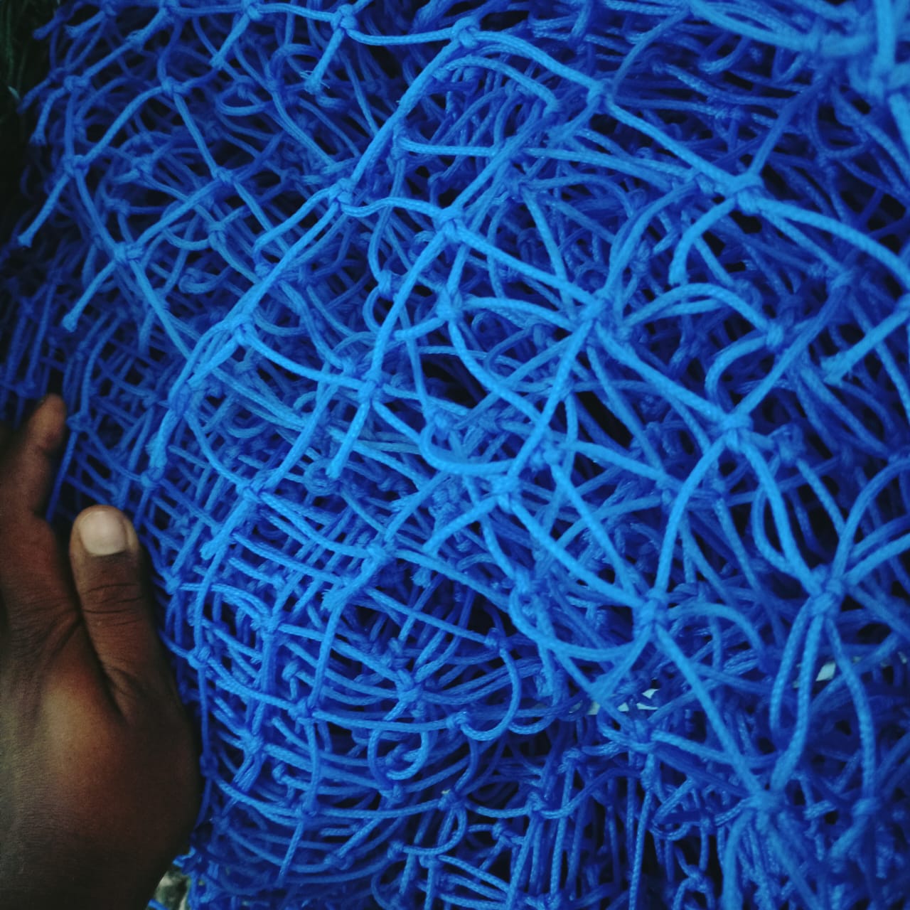 Royal Bird Netting project
