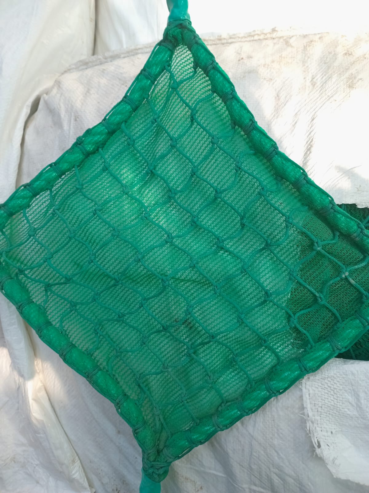 Royal Bird Netting project