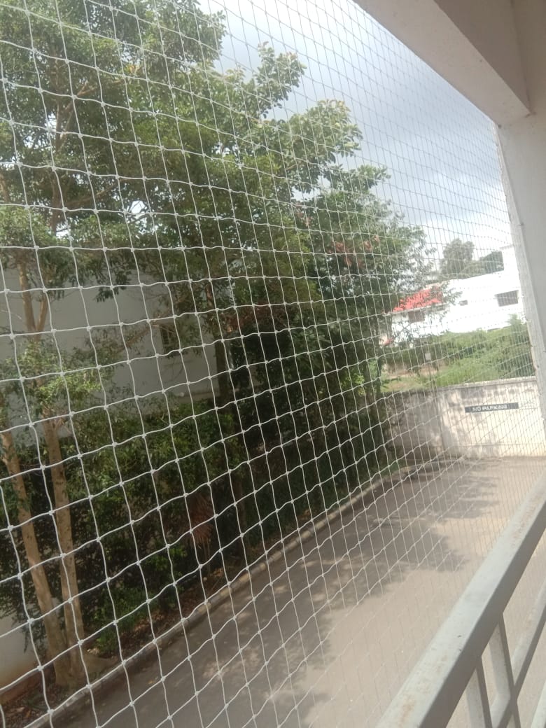 Royal Bird Netting project
