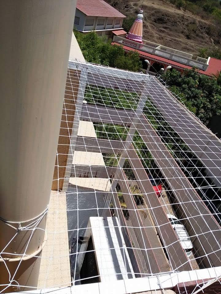 Royal Bird Netting project