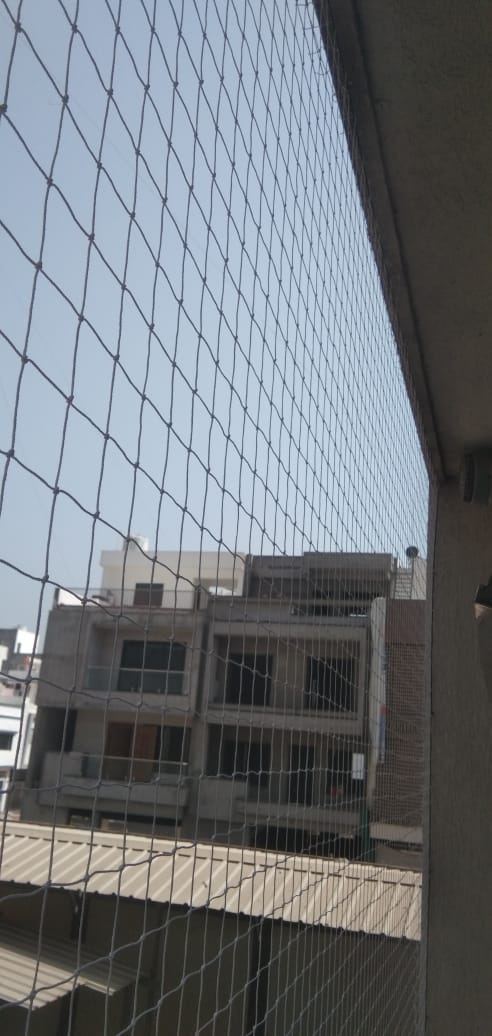 Royal Bird Netting project