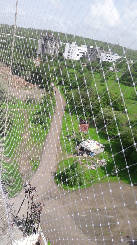 Royal Bird Netting project