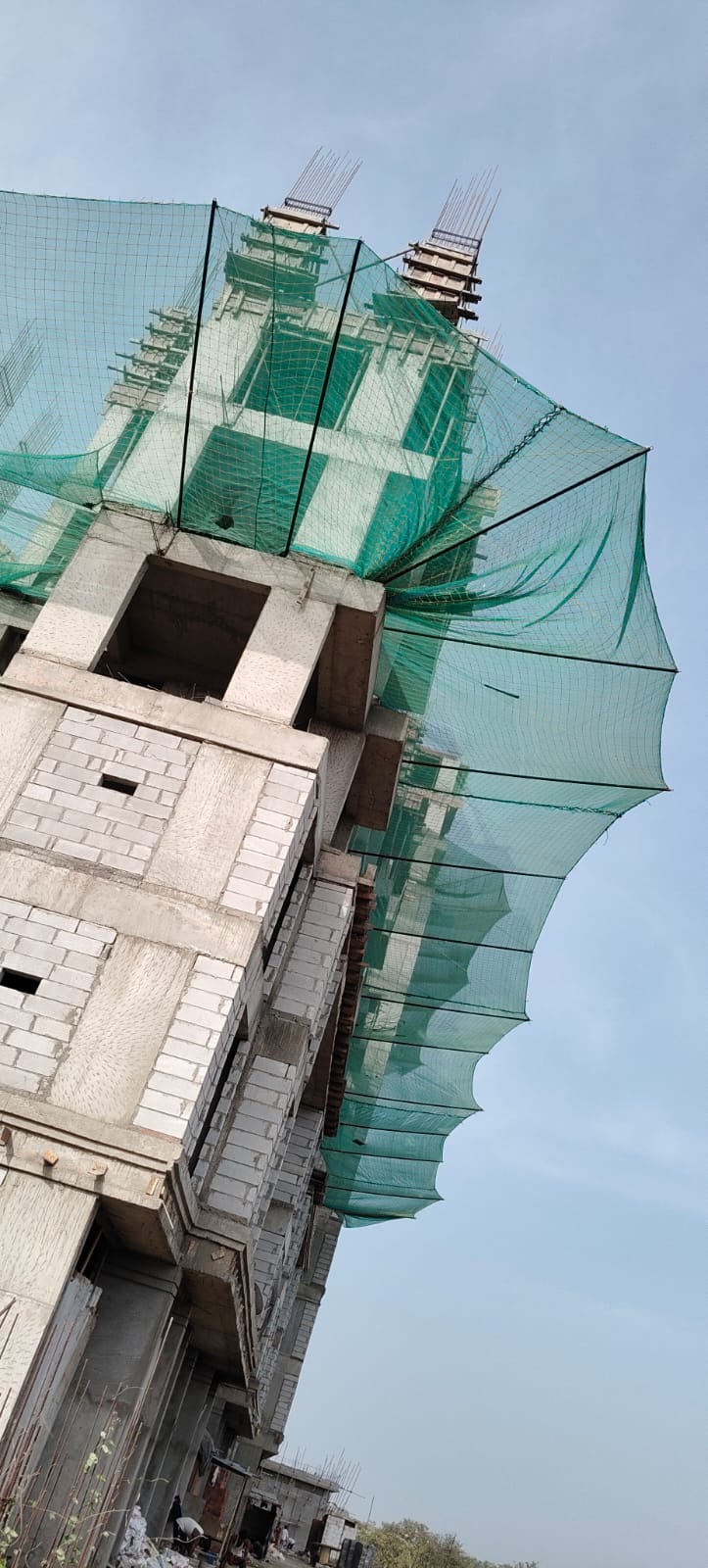 Royal Bird Netting project